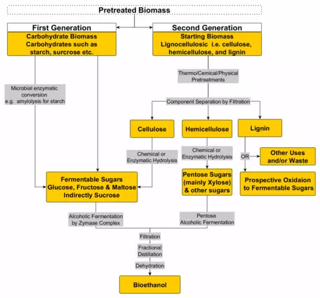 Cellulostic ethanol production 