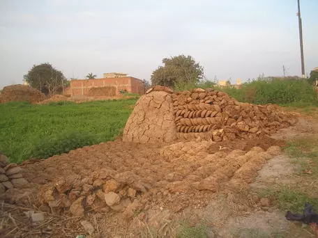 Cow dung in India drying for later use in cooking stovves