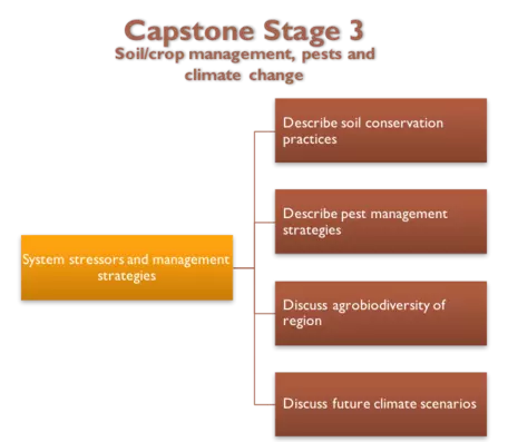 Capstone Stage 3