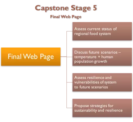 Capstone Stage 5