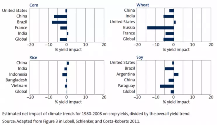 Climate change effects on crop yields bar charts