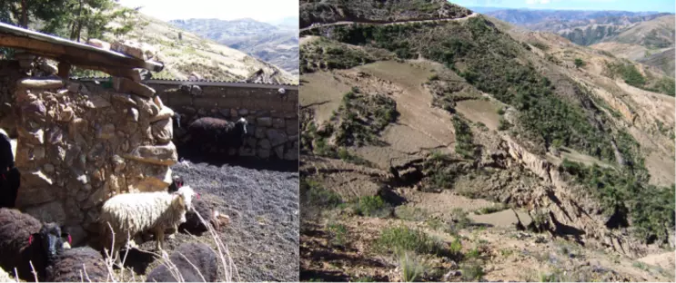 The collection, transport, and application to soil of plant nutrients using animal manure (left), and the destructive effects of erosion from tillage on sloped land (right) are two human system impacts on the earth system.  Emissions resulting from fossil