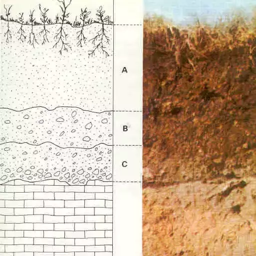 Soilweb Unit 4: Using SoilWeb to Investigate the Soil Beneath You