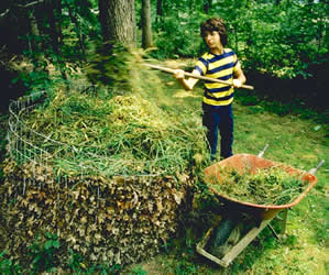 A student adding leafy material to a compost pile