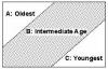 Cross Section 1