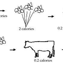 Question of the Day: Efficiency of Food Production