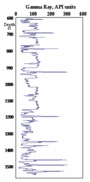 Gamma Ray Log