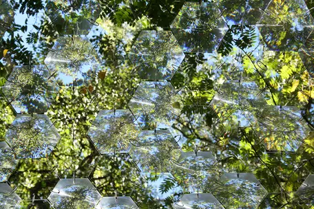 Canopy Lens