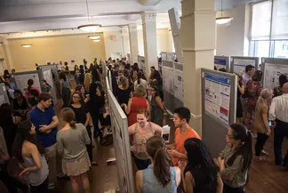 Summer Research Institute (SRI) Poster Session