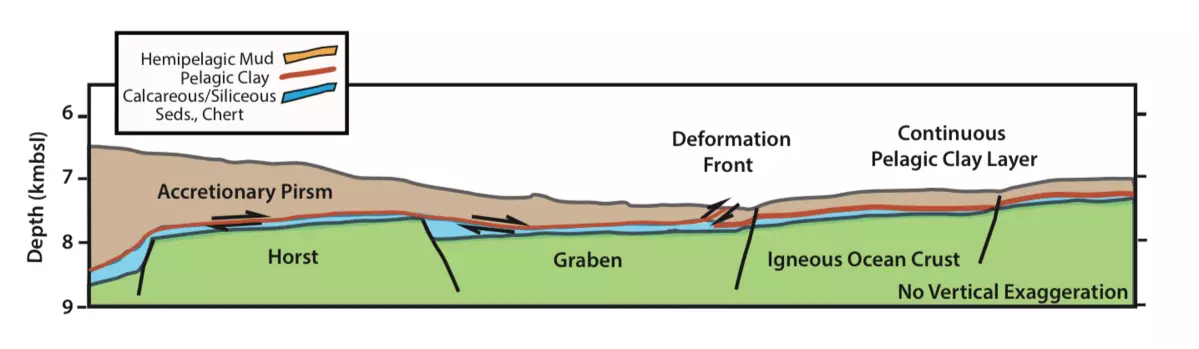 Tohoku Earthquake Shallow Slip Model