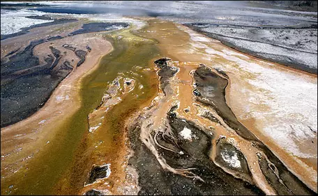 Figure 1 Yellowstone National Park