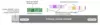 term implementation timeline infographic