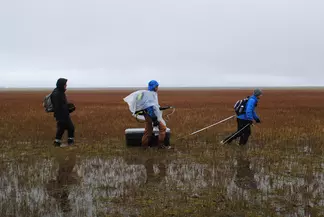 Three researchers pulling instruments across a permafrost measurement site near Barrow AK.
