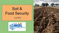Activity 11: Soil and Food Security front slide