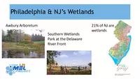 Activity 7: Wetlands pcMEL front slide
