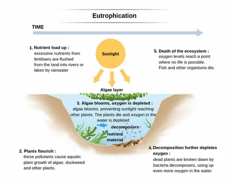 Evidence 1 Dead Zones