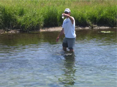 Field sampling for nanoparticles