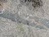 Geo2YC pencil with dikes