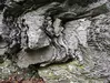Geo2YC pencil with folded and weathered limestone