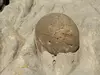 Cannonball concretion, Theodore Roosevelt National Park, North Dakota