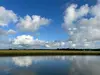 Chincoteague Island marsh, Virginia