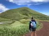 vegetated cinder cone
