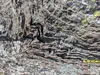 Folds in blueschist, Turtle Rock, Ring Mountain, Marin, CA