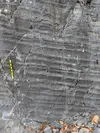 Graded turbidite beds