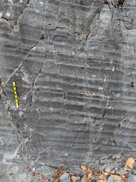 Graded turbidite beds