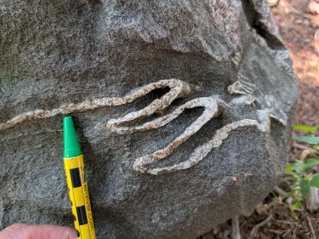 Isoclinal, ptygmatic folds in a quartz vein 