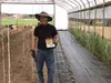 Jeff Simpson, smiling and with a hat, working in a hoop greenhouse.