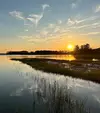 Sunset in coastal marsh