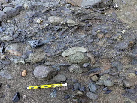 Metaconglomerate, Kayak Beach, Angel Island, CA