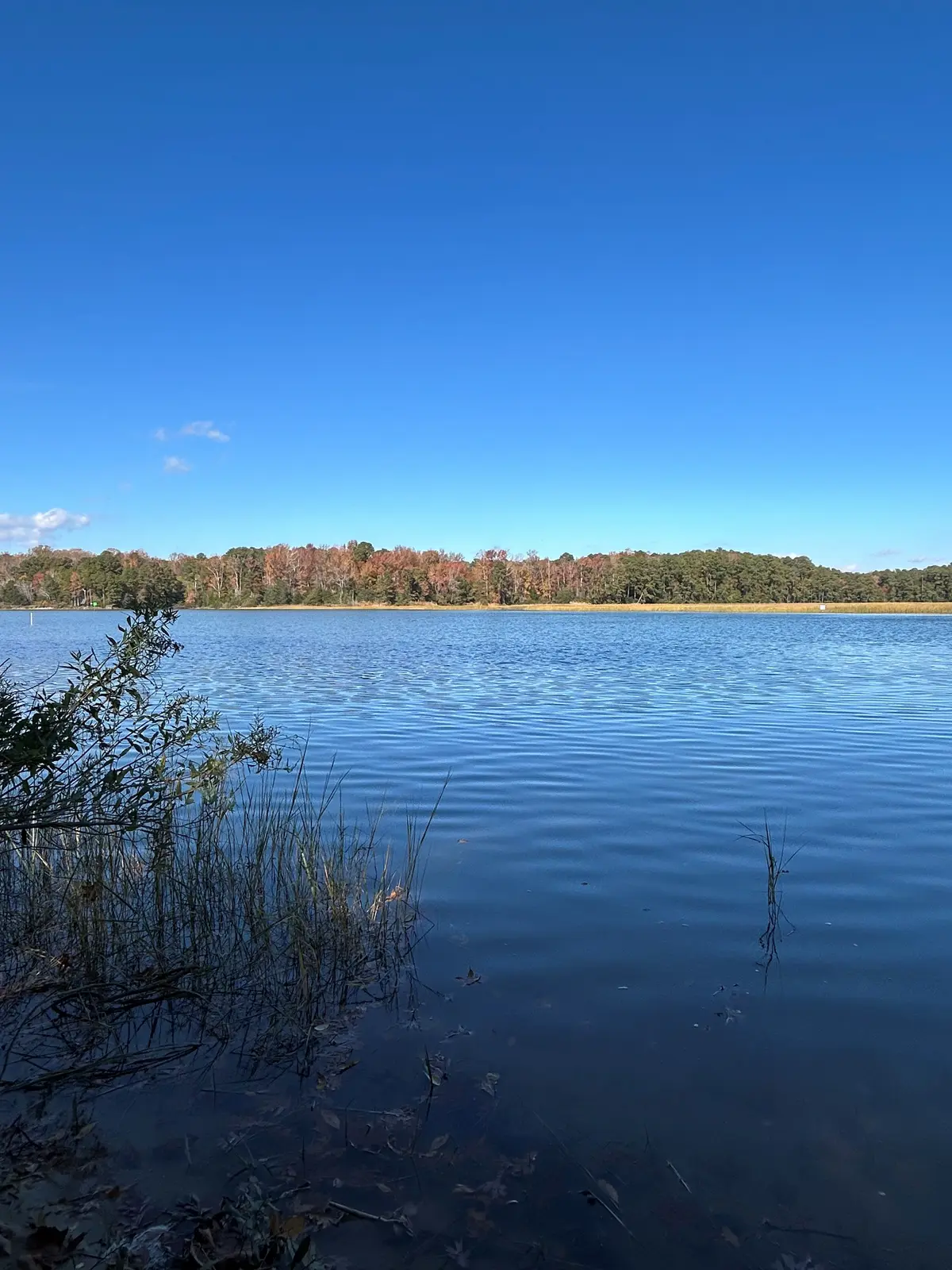 Queen's Creek, Williamsburg, Virginia