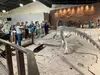 Students at the Dinosaur Discovery Site in St. George, Utah