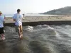CoastalFieldActivity_Image3