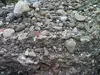 Melting Glaciers  Gravel Pit Photo 2