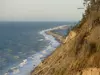 Photo of Olympic Penninsula field trip - coast