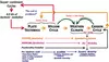 Earth System learning progression