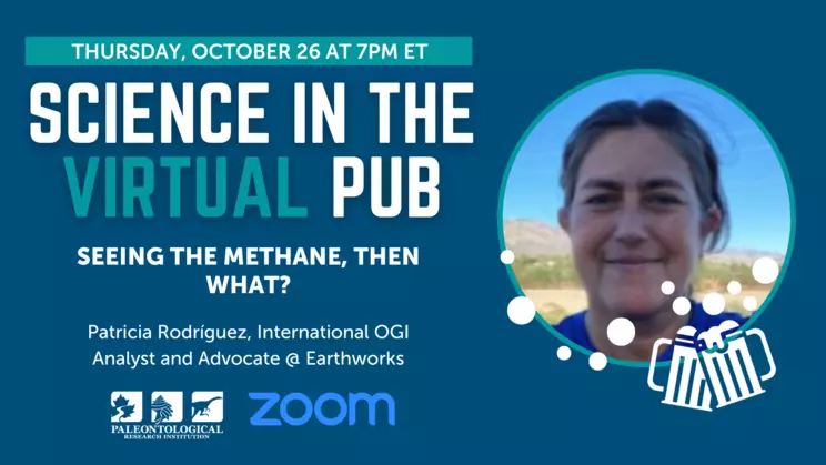 Seeing the Methane, then What?