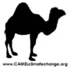 camel_sticker_3