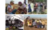 Field Experience Program (FieldXP)