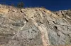 Felsic Dike