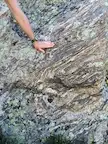 Gneiss Folds