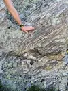 Gneiss Folds