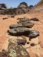 Iron Concretions