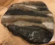 Metamorphosed Silty Limestone