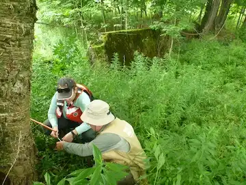 NAGT-USGS Summer Internship