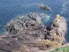 Siccar Point