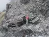 TwistyTurbidites